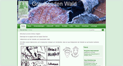 Desktop Screenshot of graubuendenwald.ch